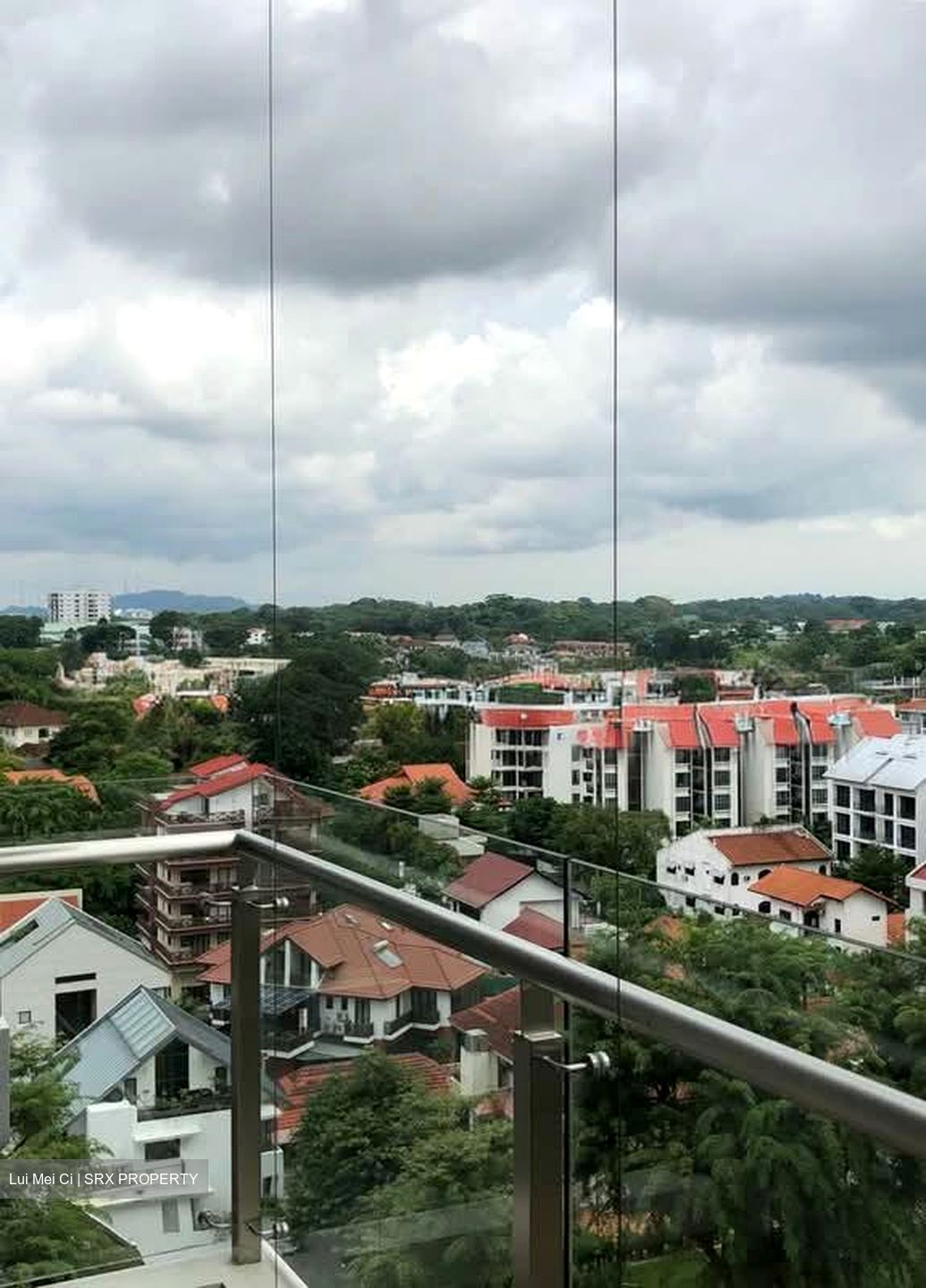 Suites @ Newton (D11), Apartment #541678781